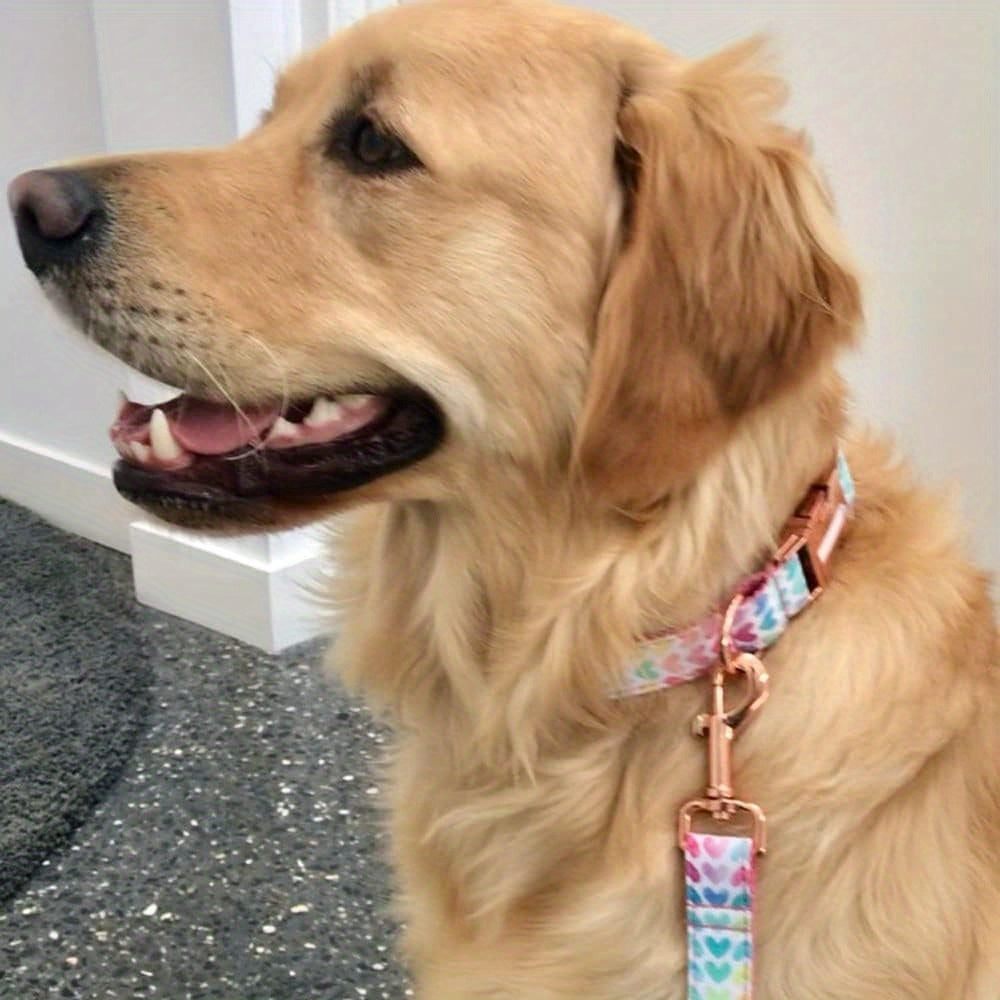 Personalized Dog Collar, Customized for Medium & Large Dogs, with Name & Phone Engraved on Metal Buckle, Multiple Pattern Prints, Fancy Cute Bow Tie Leash Available
