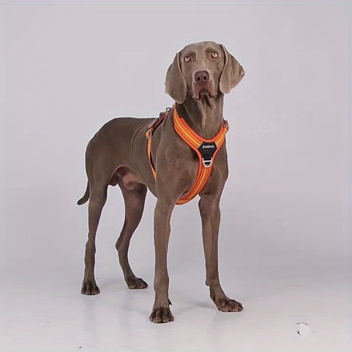 2pcs SET No-Pull Dog Harness with Leash(Length: 98inch\u002F250cm) - Breathable, Padded & Water-Resistant for Everyday Use Great for Small, Medium And Large Dogs.