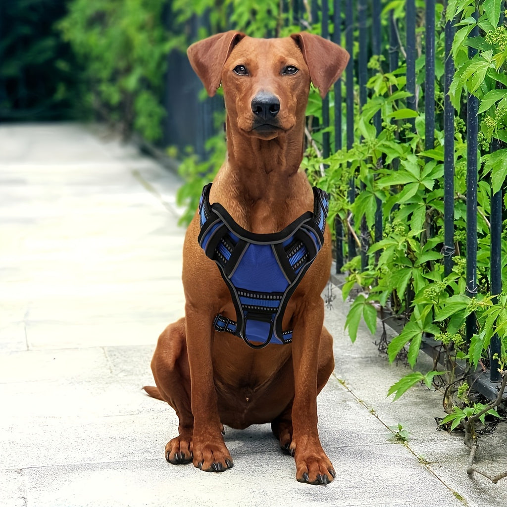 No-Pull Dog Harness And Leash Set, Adjustable Reflective No-Choke Oxford Vest, 6-in-1 with 2 Leash Clips And Easy Control Handle, for Small Medium And Large Dogs