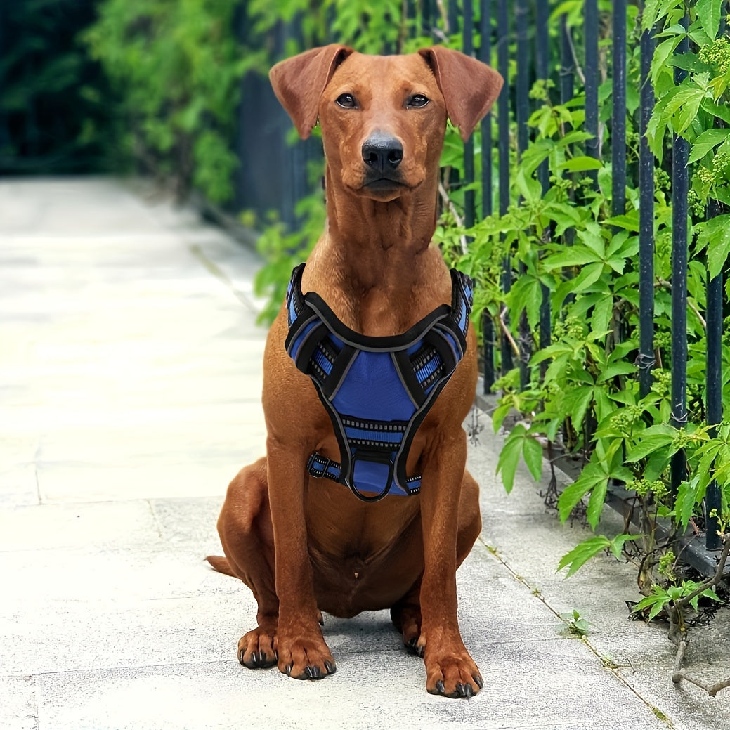 No-Pull Dog Harness And Leash Set, Adjustable Reflective No-Choke Oxford Vest, 6-in-1 with 2 Leash Clips And Easy Control Handle, for Small Medium And Large Dogs