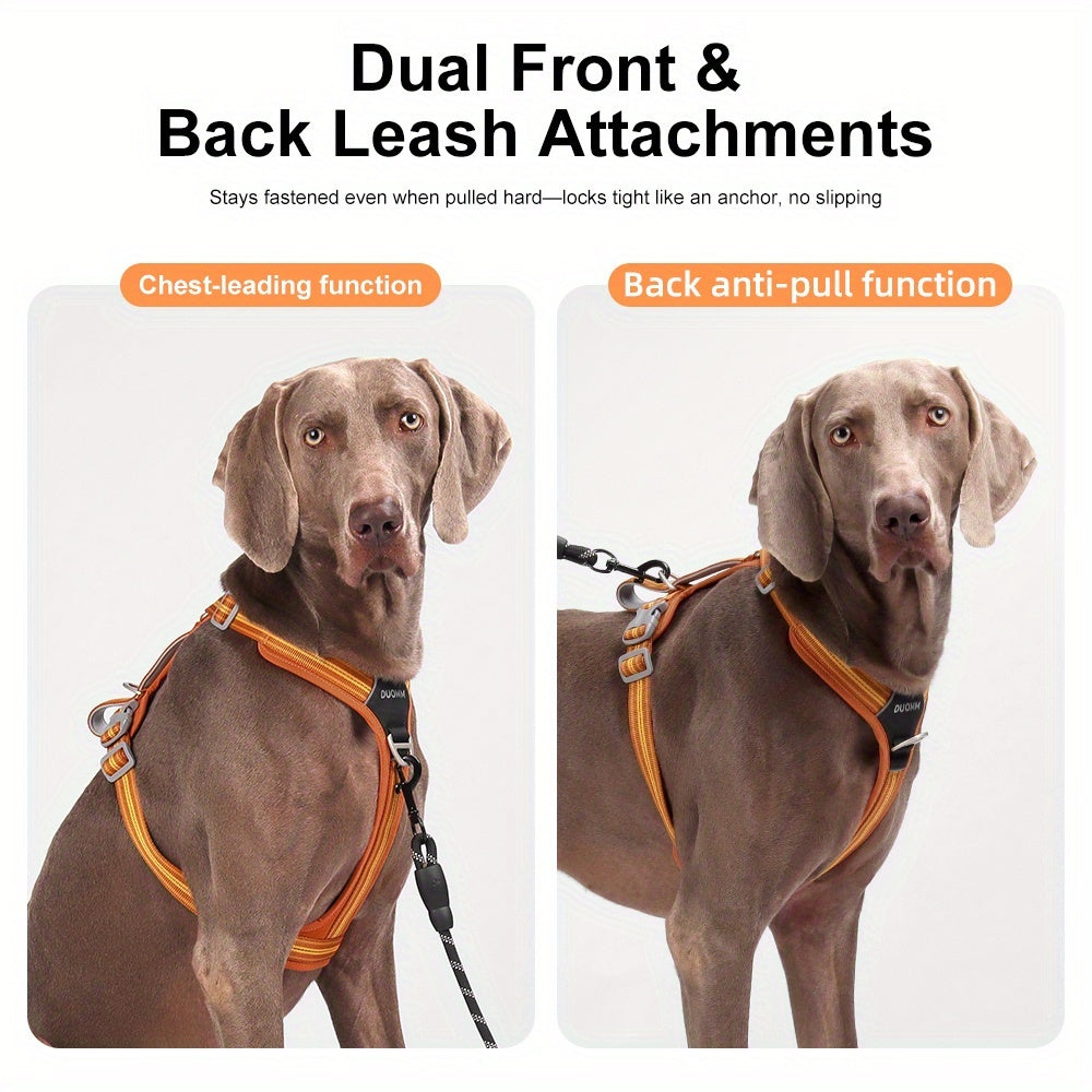 2pcs SET No-Pull Dog Harness with Leash(Length: 98inch\u002F250cm) - Breathable, Padded & Water-Resistant for Everyday Use Great for Small, Medium And Large Dogs.
