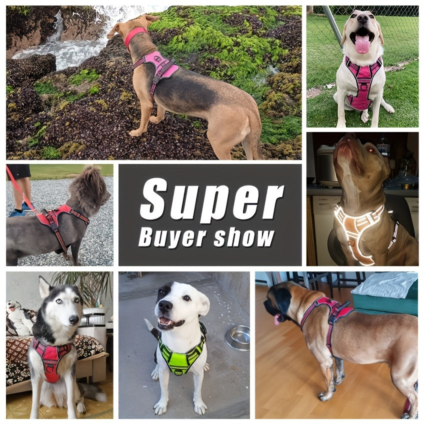 No-Pull Dog Harness And Leash Set, Adjustable Reflective No-Choke Oxford Vest, 6-in-1 with 2 Leash Clips And Easy Control Handle, for Small Medium And Large Dogs