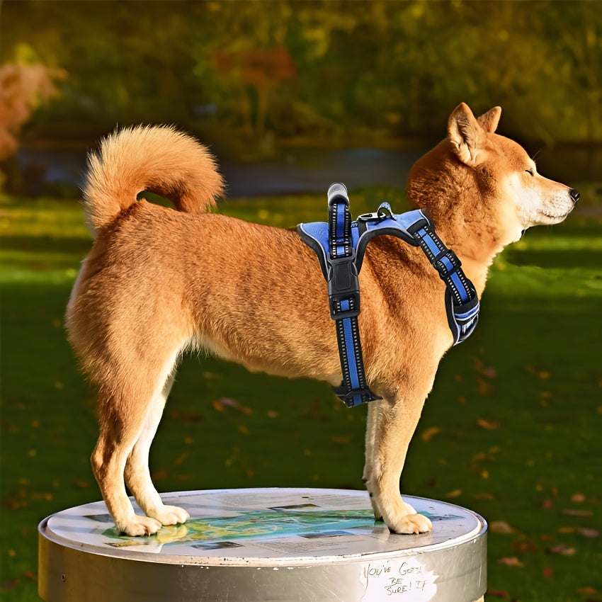 No-Pull Dog Harness And Leash Set, Adjustable Reflective No-Choke Oxford Vest, 6-in-1 with 2 Leash Clips And Easy Control Handle, for Small Medium And Large Dogs