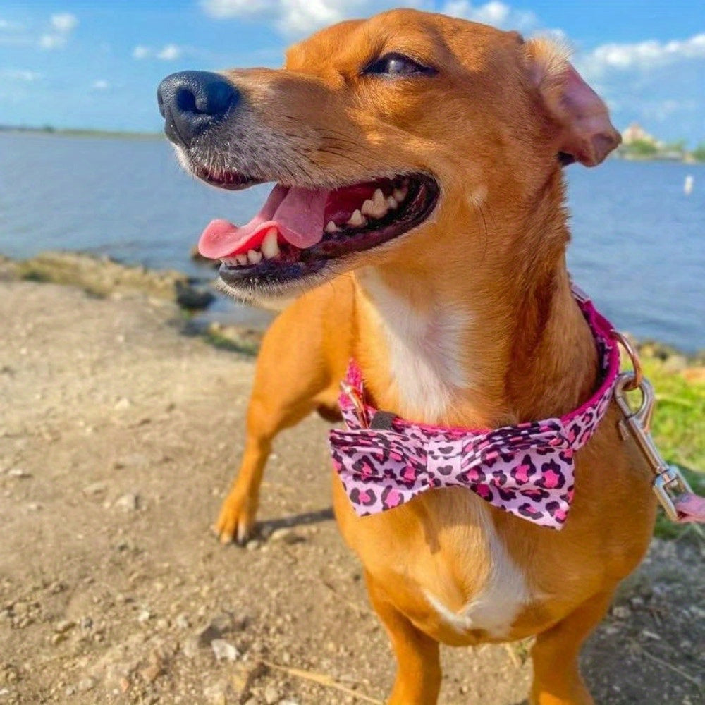 Personalized Dog Collar, Customized for Medium & Large Dogs, with Name & Phone Engraved on Metal Buckle, Multiple Pattern Prints, Fancy Cute Bow Tie Leash Available