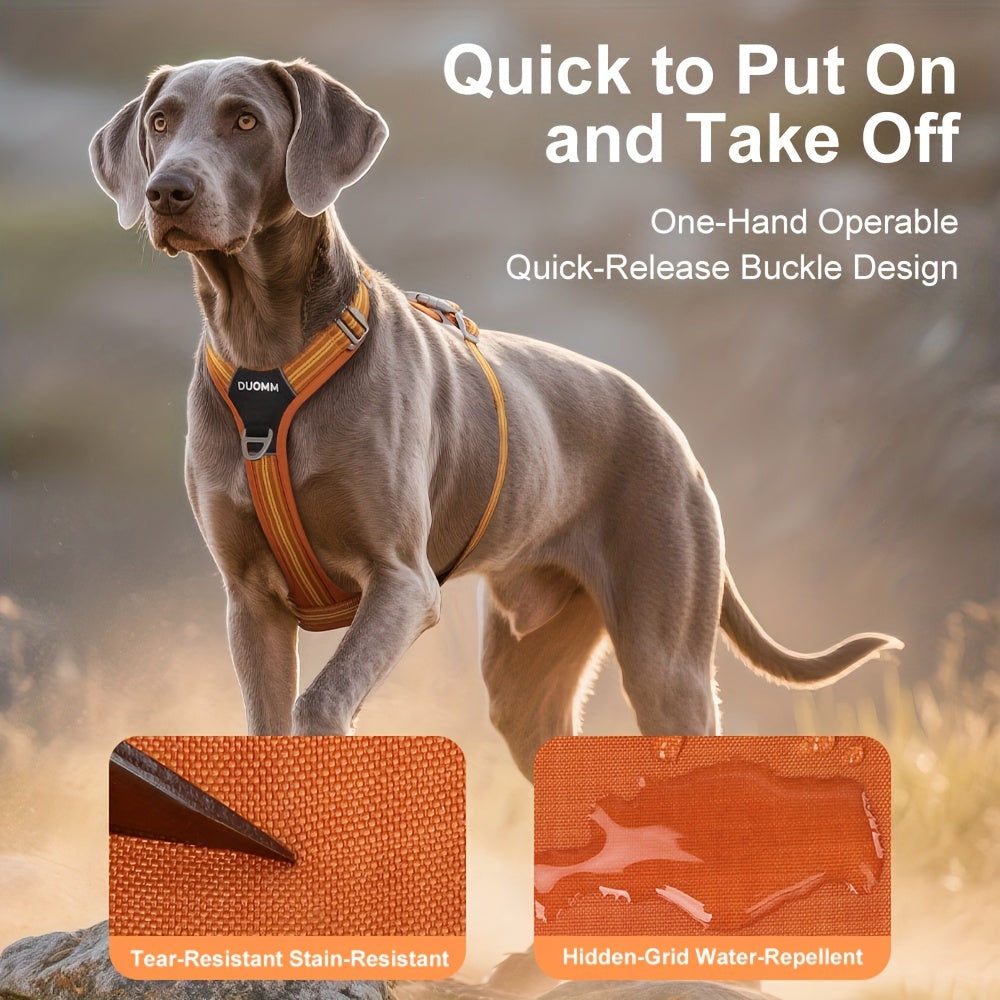 2pcs SET No-Pull Dog Harness with Leash(Length: 98inch\u002F250cm) - Breathable, Padded & Water-Resistant for Everyday Use Great for Small, Medium And Large Dogs.