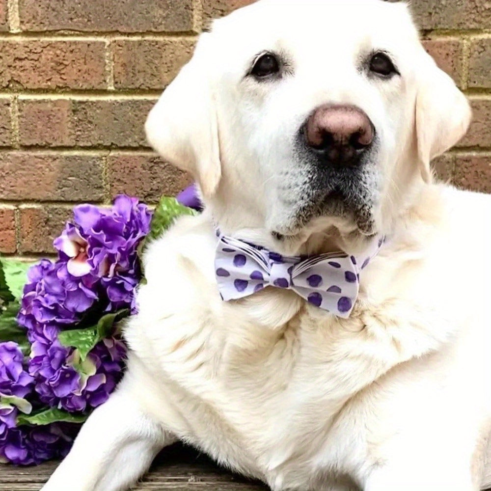 Personalized Dog Collar, Customized for Medium & Large Dogs, with Name & Phone Engraved on Metal Buckle, Multiple Pattern Prints, Fancy Cute Bow Tie Leash Available